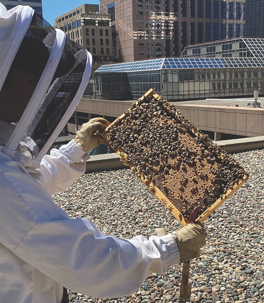 a man in a bee suit holding a beehive.