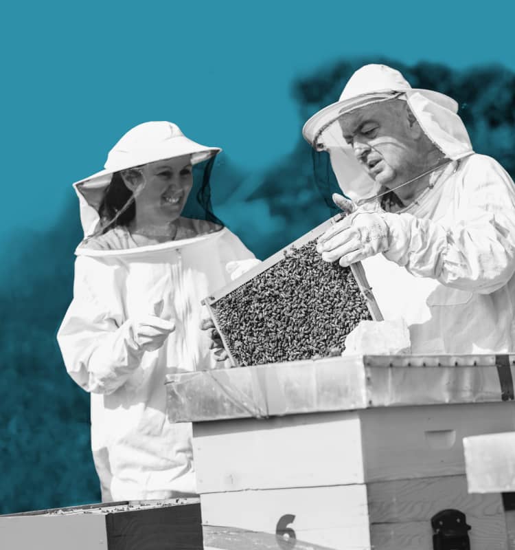 a man and a woman in bee suits looking at a beehive.